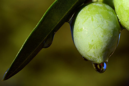 olio extra vergine di oliva black drops italian luxury food olive